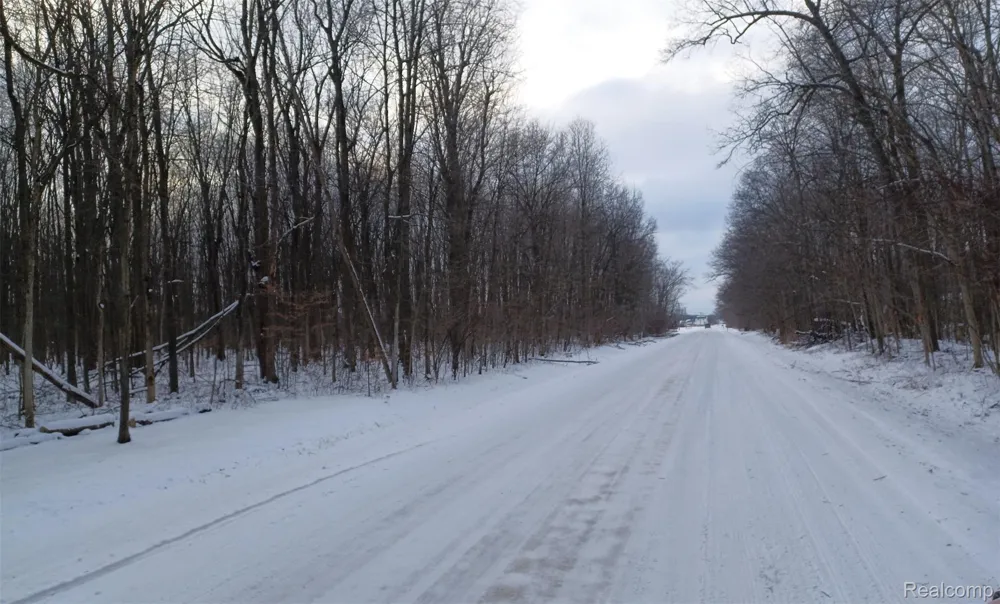 Lindsey Road China Township, MI 48054