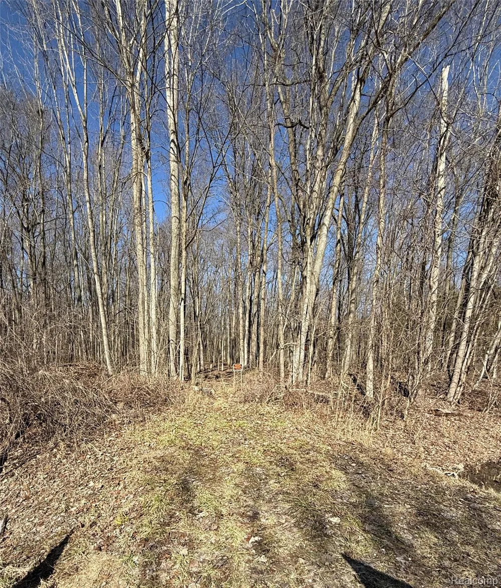Lindsey Road China Township, MI 48054