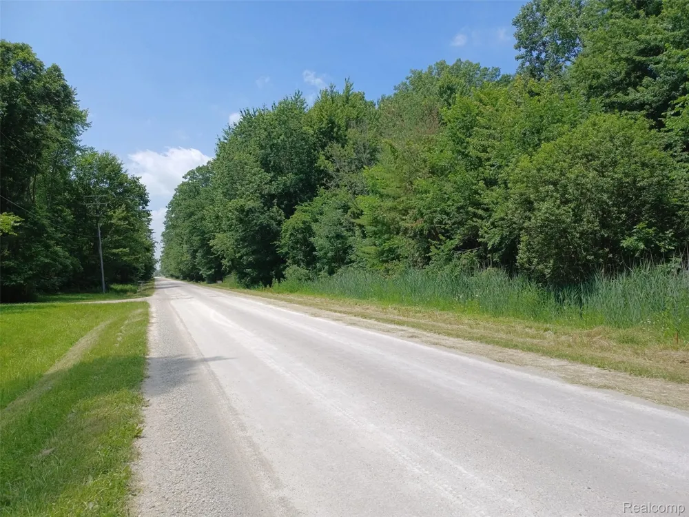 Lindsey Road China Township, MI 48054