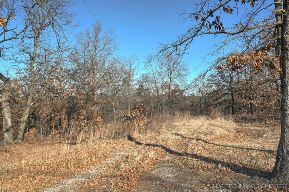 12964 Bear Paw Path Skiatook, OK 74070