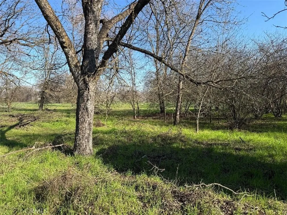 4085 County Road 203 Hamilton City, CA 95951