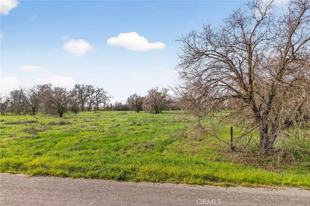 4085 County Road 203 Hamilton City, CA 95951