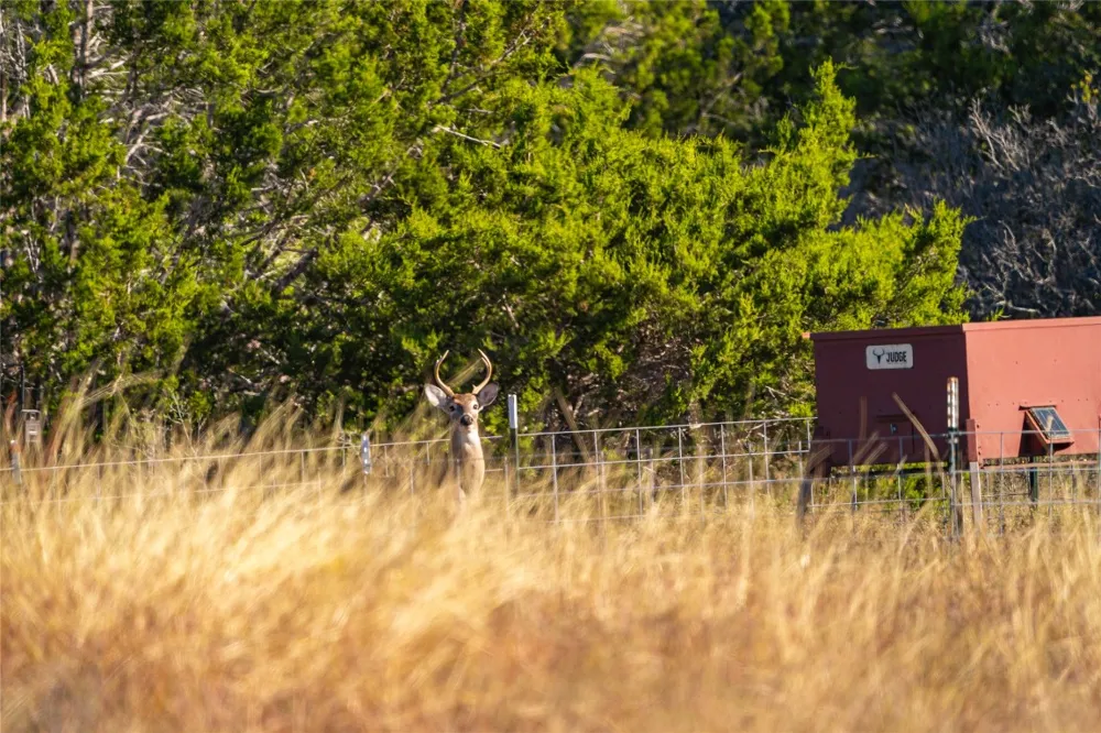 W McCarty Lane San Marcos, TX 78666