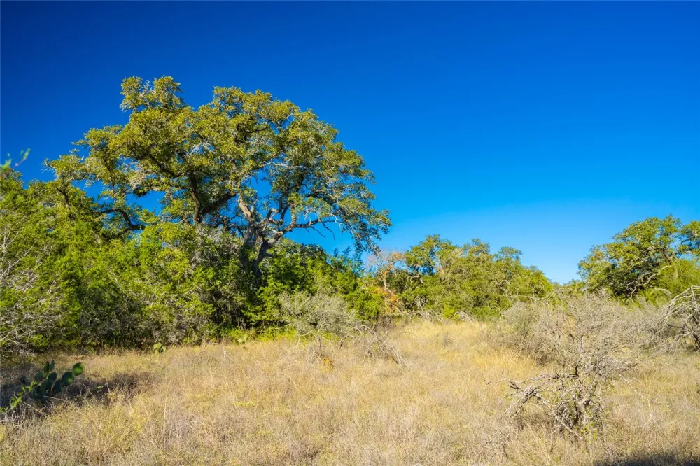 W McCarty Lane San Marcos, TX 78666