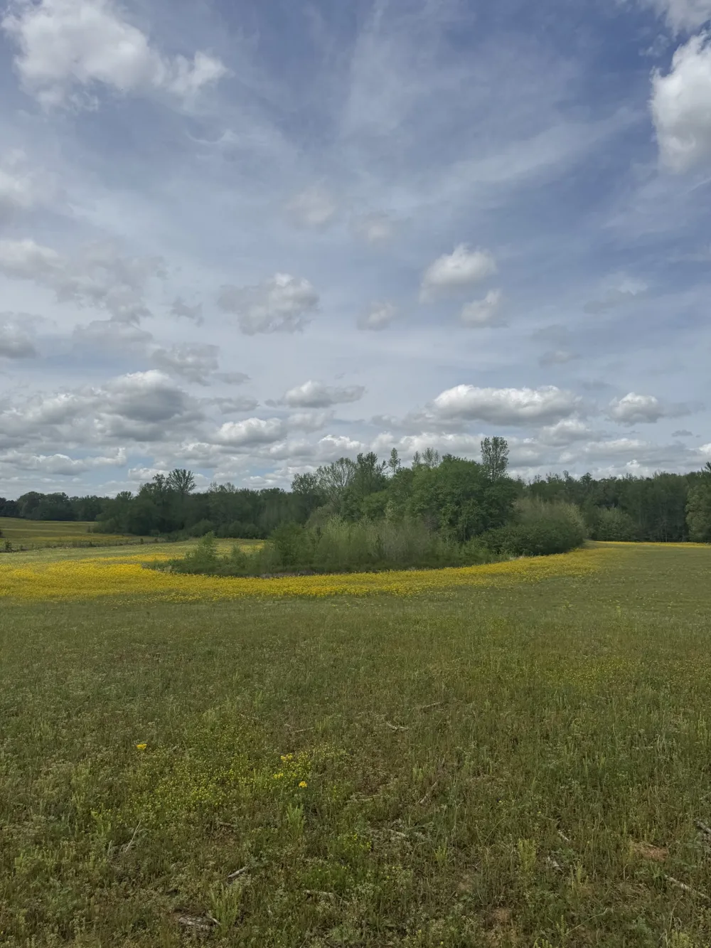 0 Taylor Cemetery Rd Buena Vista, TN 38318