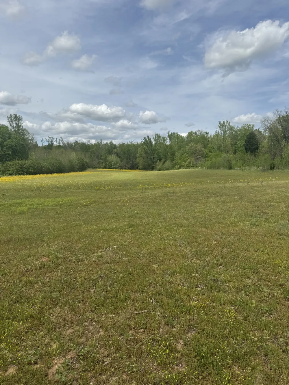 0 Taylor Cemetery Rd Buena Vista, TN 38318