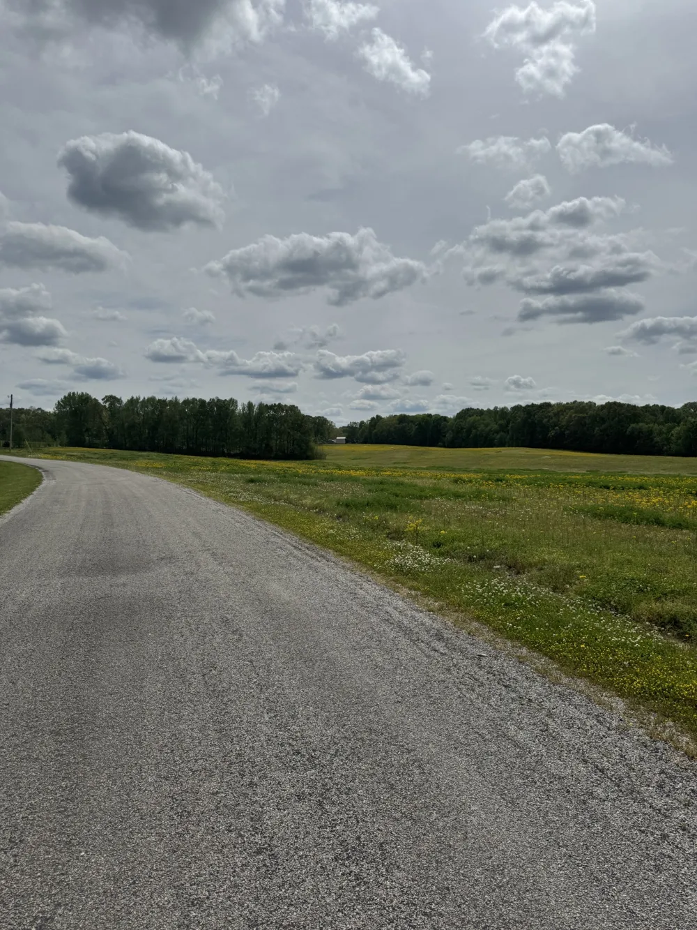 0 Taylor Cemetery Rd Buena Vista, TN 38318