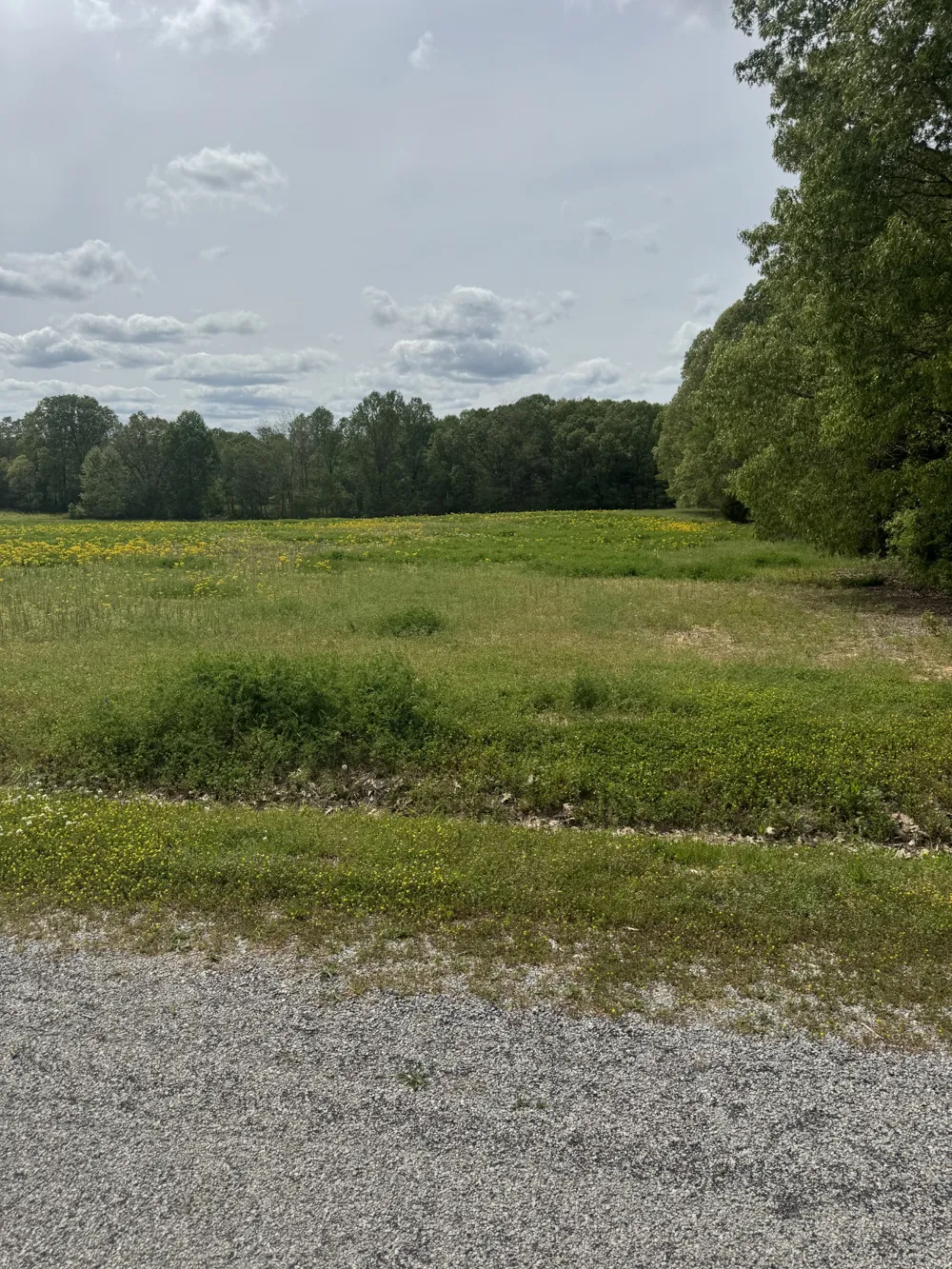 0 Taylor Cemetery Rd Buena Vista, TN 38318