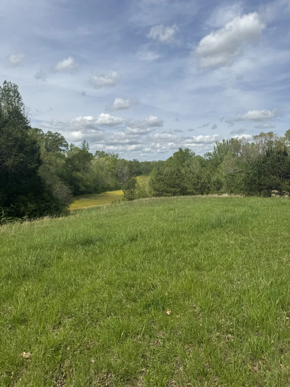 0 Taylor Cemetery Rd Buena Vista, TN 38318