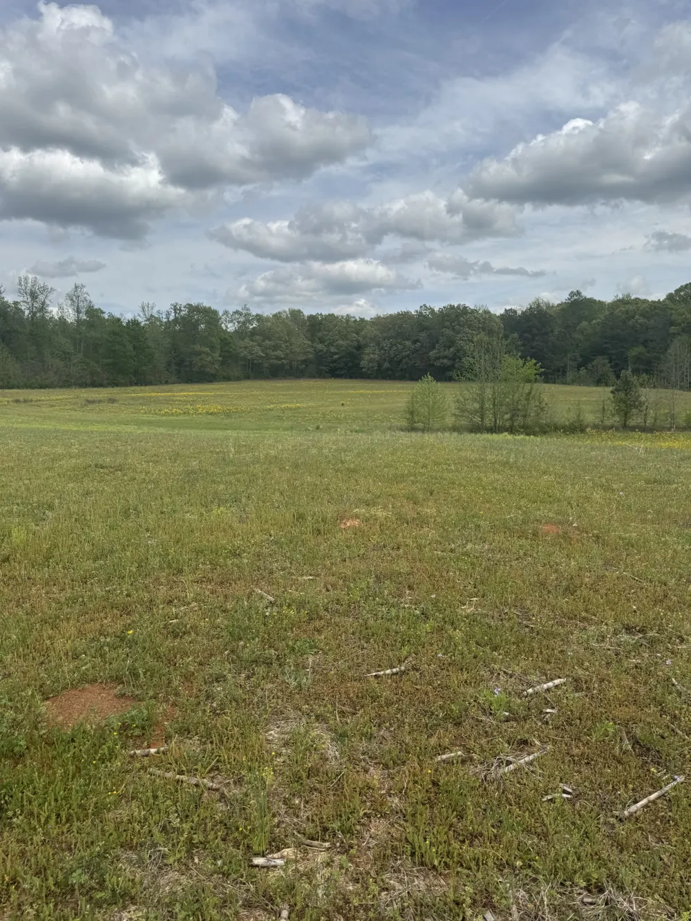 0 Taylor Cemetery Rd Buena Vista, TN 38318