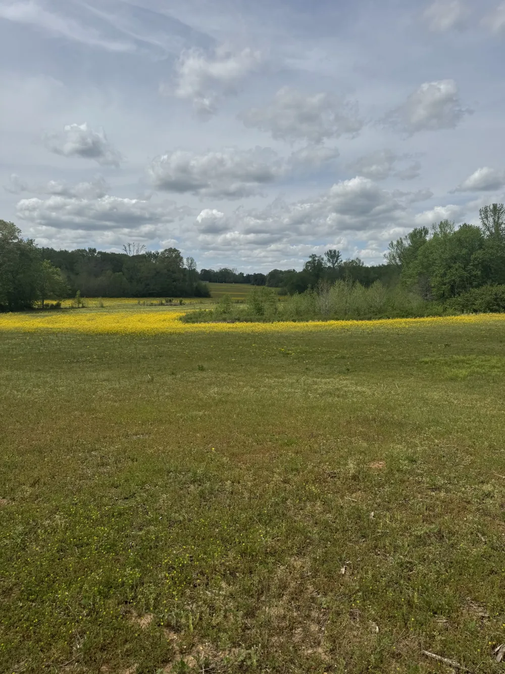 0 Taylor Cemetery Rd Buena Vista, TN 38318