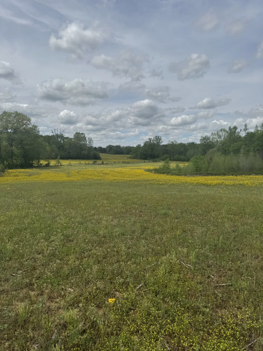 0 Taylor Cemetery Rd Buena Vista, TN 38318