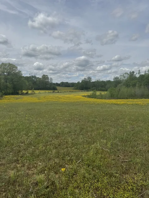 0 Taylor Cemetery Rd