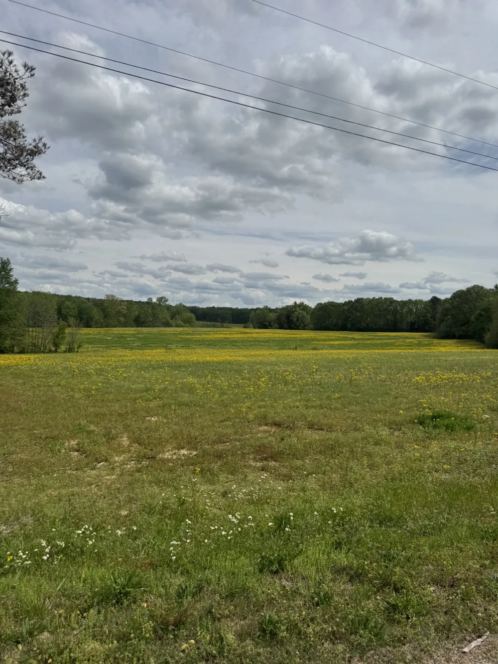 0 Taylor Cemetery Rd Buena Vista, TN 38318