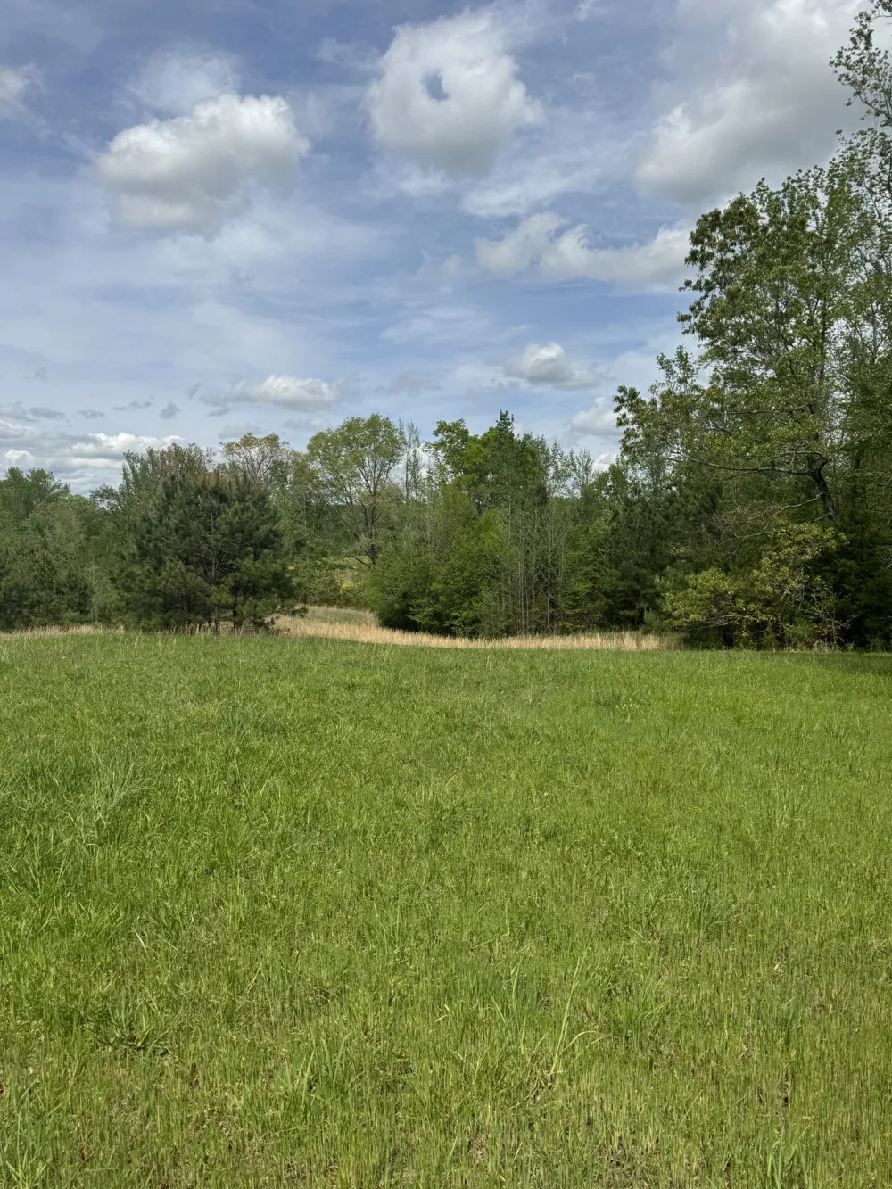0 Taylor Cemetery Rd Buena Vista, TN 38318