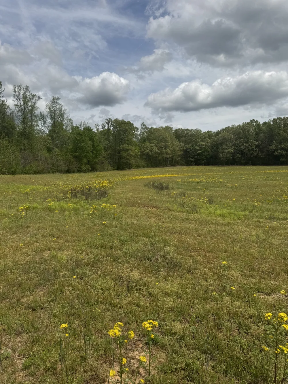 0 Taylor Cemetery Rd Buena Vista, TN 38318