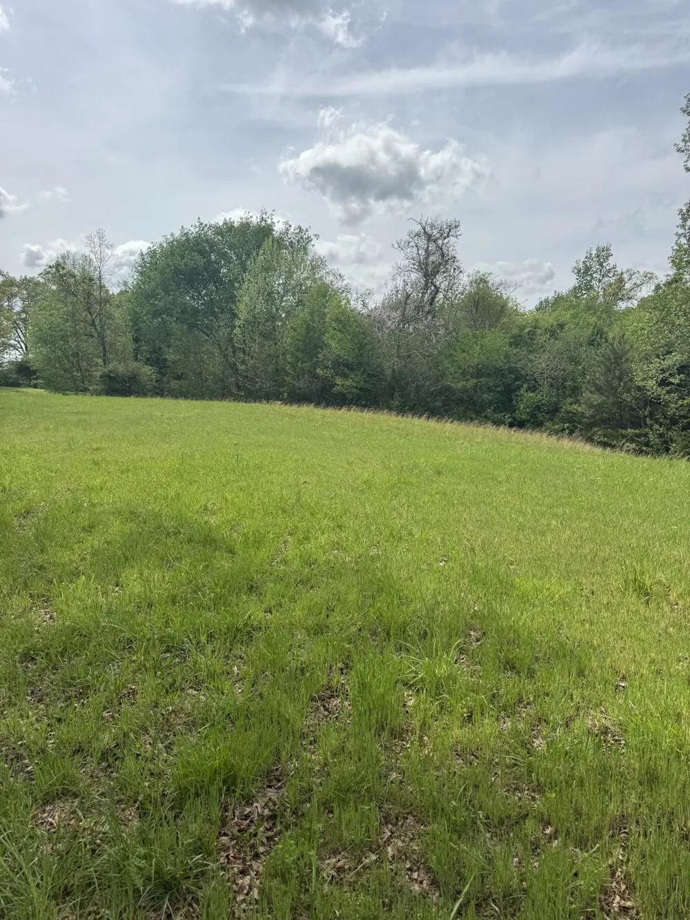 0 Taylor Cemetery Rd Buena Vista, TN 38318