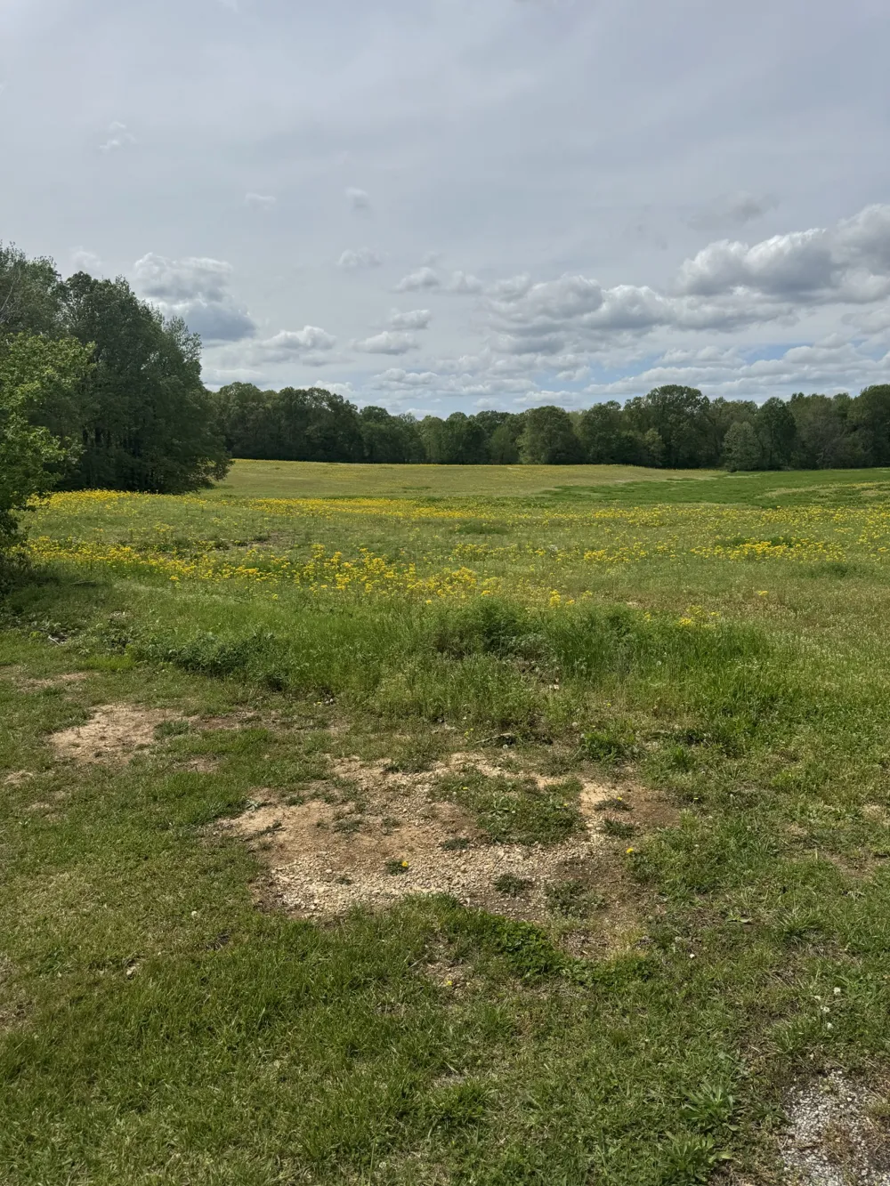 0 Taylor Cemetery Rd Buena Vista, TN 38318