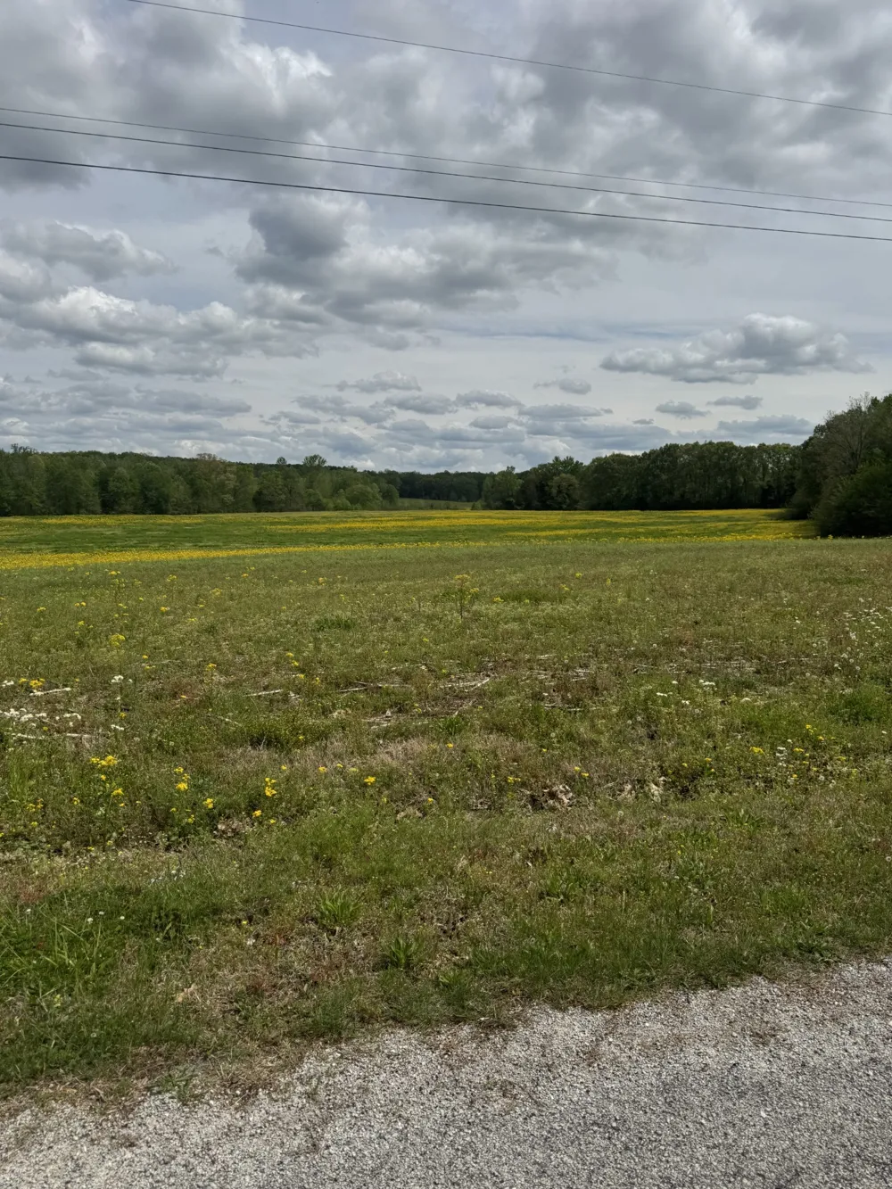 0 Taylor Cemetery Rd Buena Vista, TN 38318