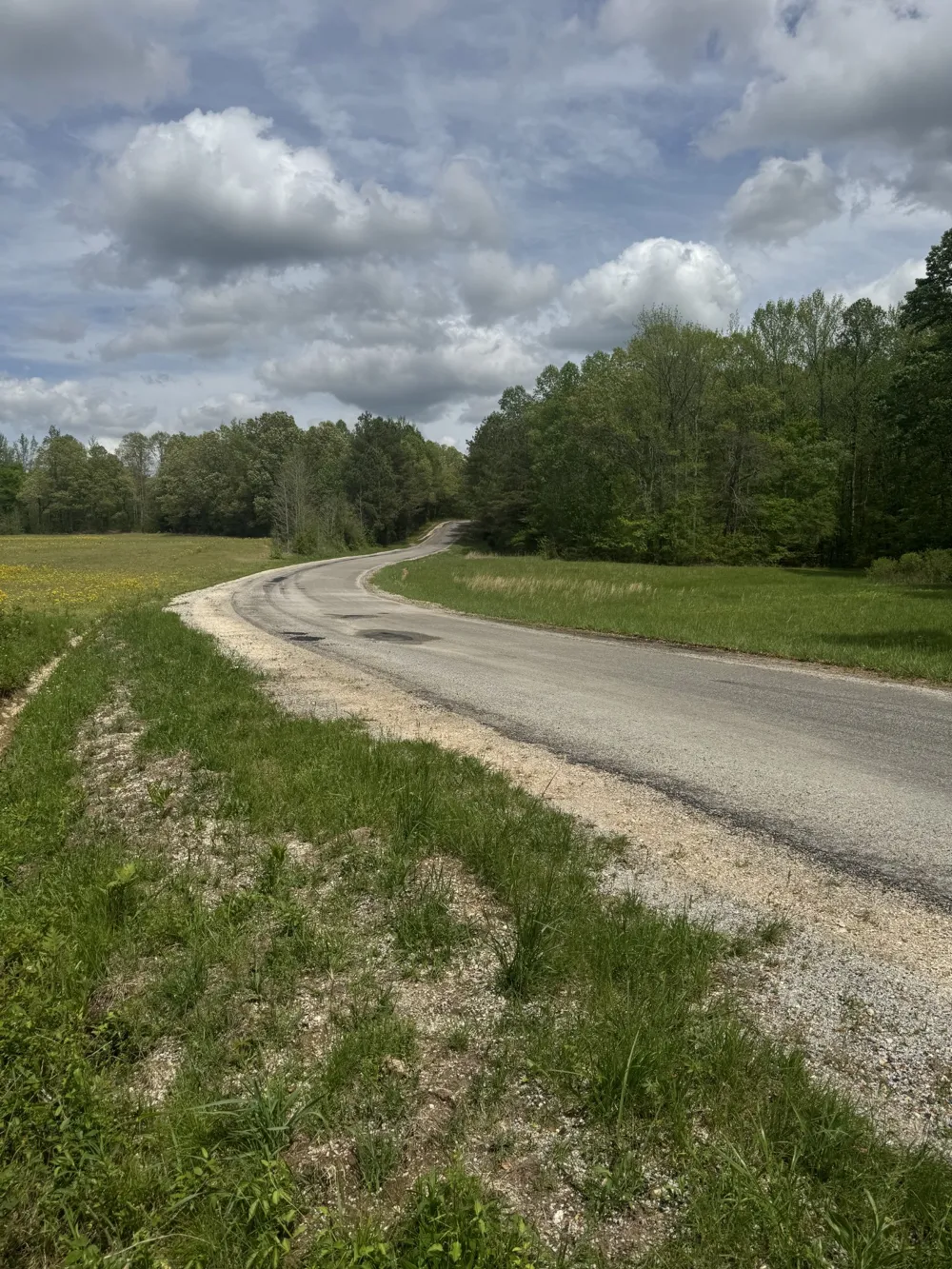0 Taylor Cemetery Rd Buena Vista, TN 38318