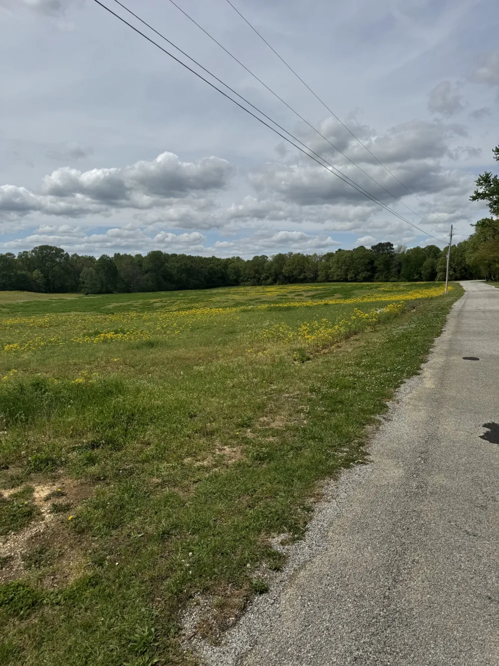 0 Taylor Cemetery Rd Buena Vista, TN 38318