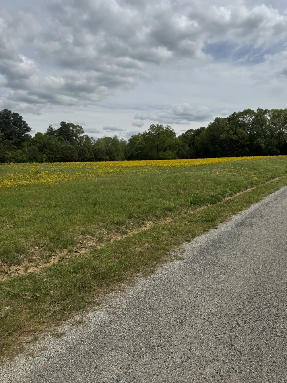 0 Taylor Cemetery Rd Buena Vista, TN 38318