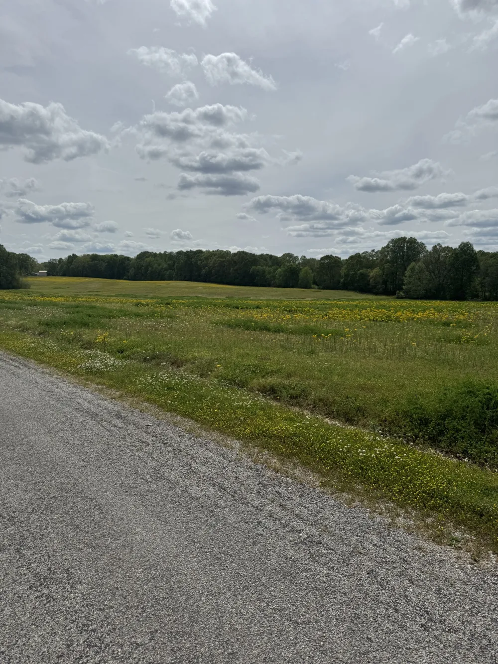 0 Taylor Cemetery Rd Buena Vista, TN 38318