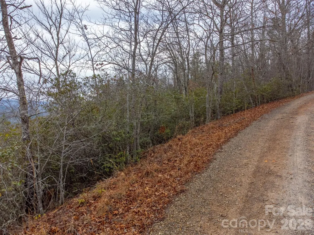 9999 Lower Burningtown Road Franklin, NC 28734