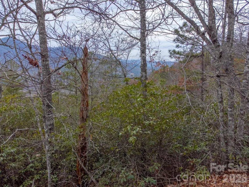 9999 Lower Burningtown Road Franklin, NC 28734