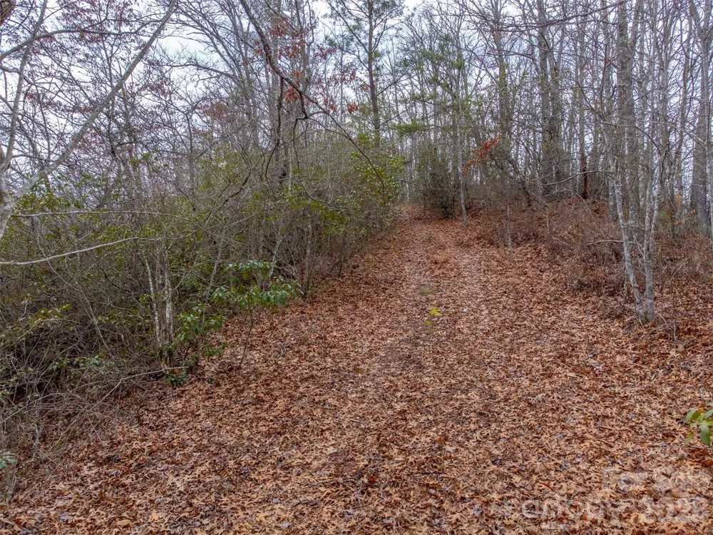 9999 Lower Burningtown Road Franklin, NC 28734