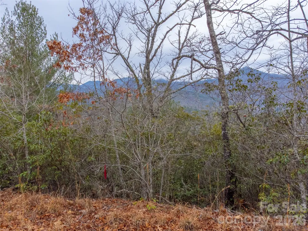 9999 Lower Burningtown Road Franklin, NC 28734