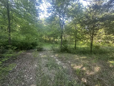 301 W Brand Road