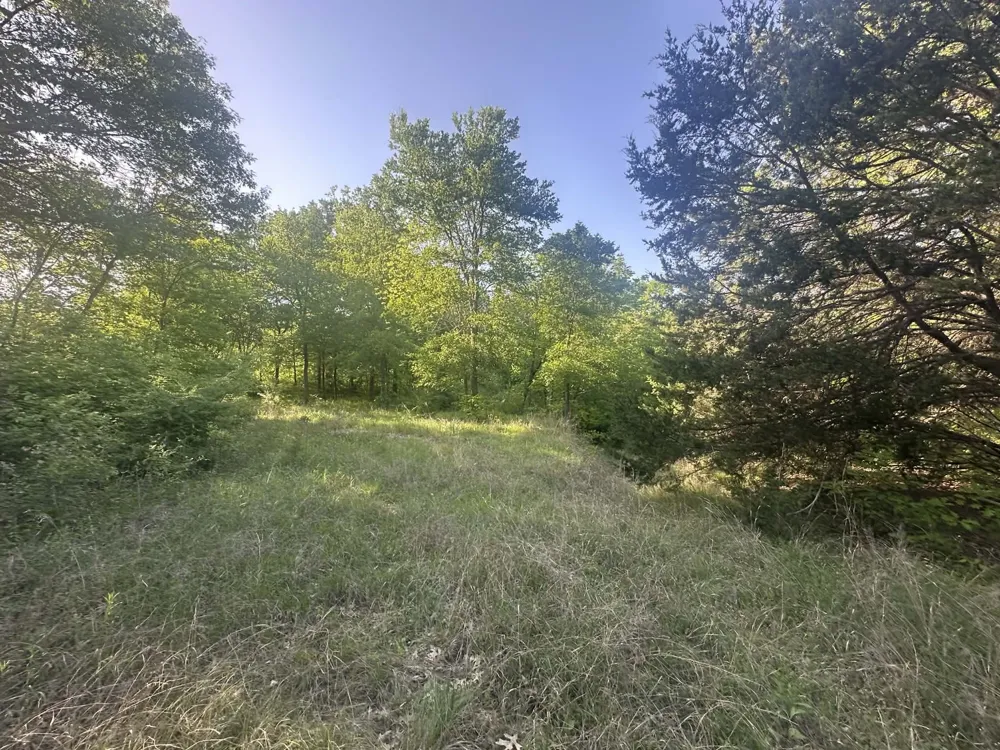 301 W Brand Road Garland, TX 75040