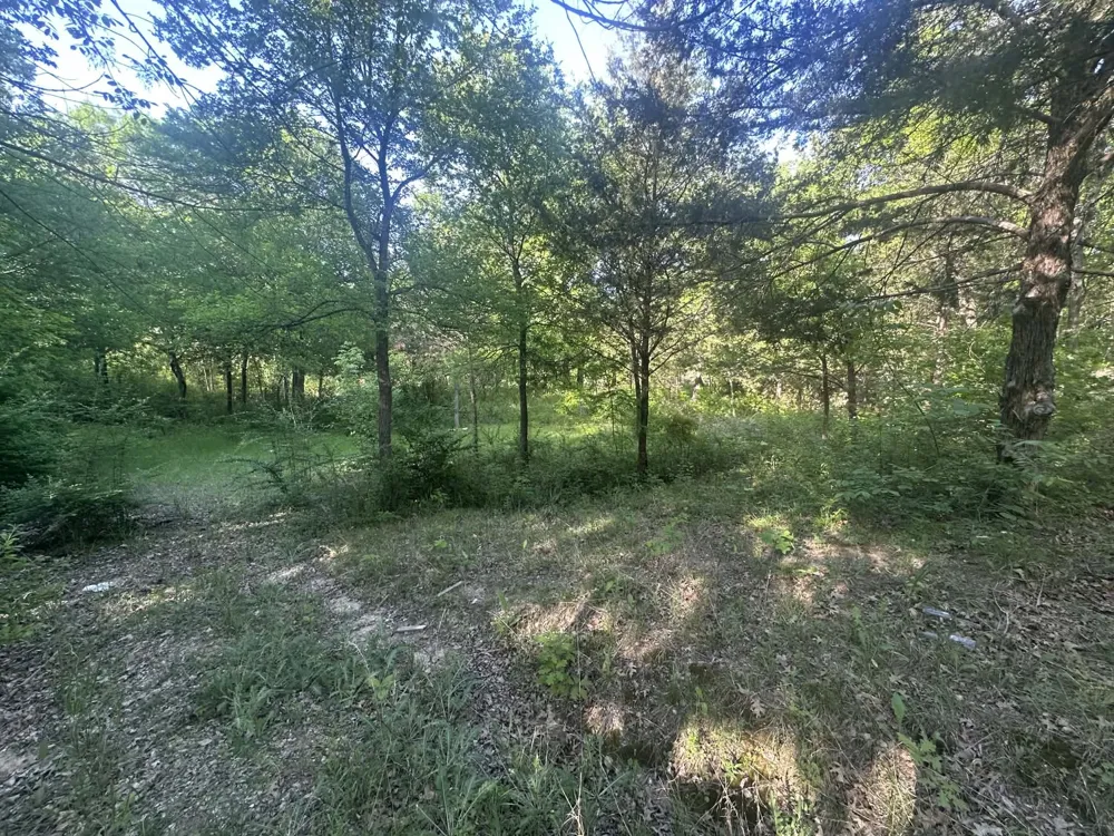 301 W Brand Road Garland, TX 75040