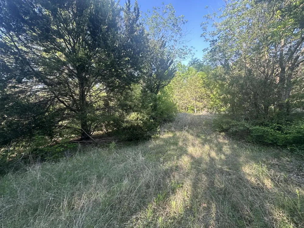 301 W Brand Road Garland, TX 75040