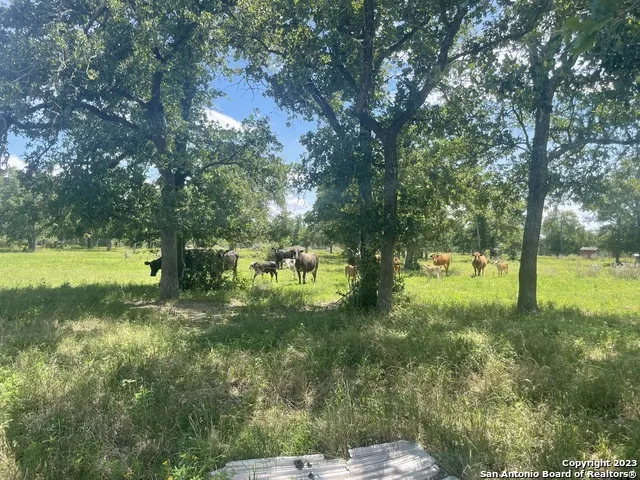 1130 Blacksmith Ln Weimar, TX 78962