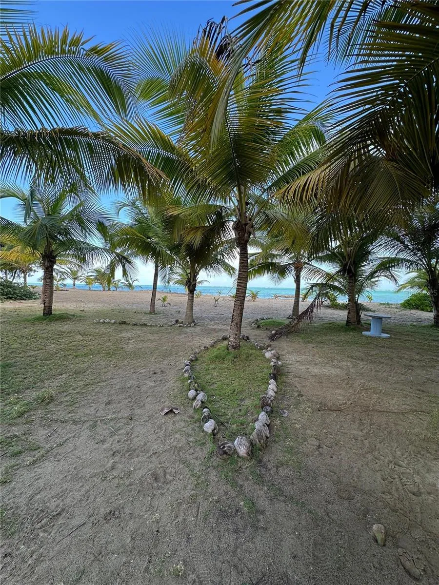 1502 OCEAN POINT #1 Loiza, PR 00772