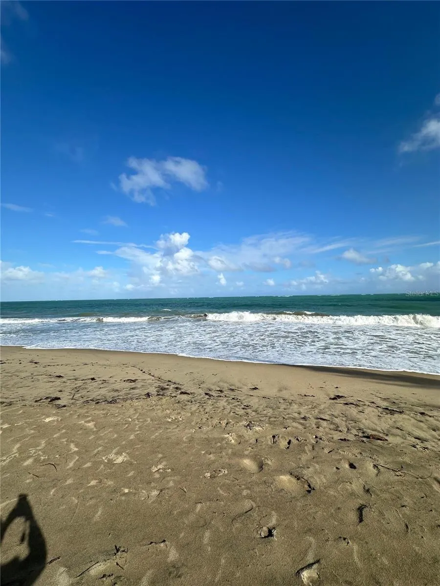 1502 OCEAN POINT #1 Loiza, PR 00772