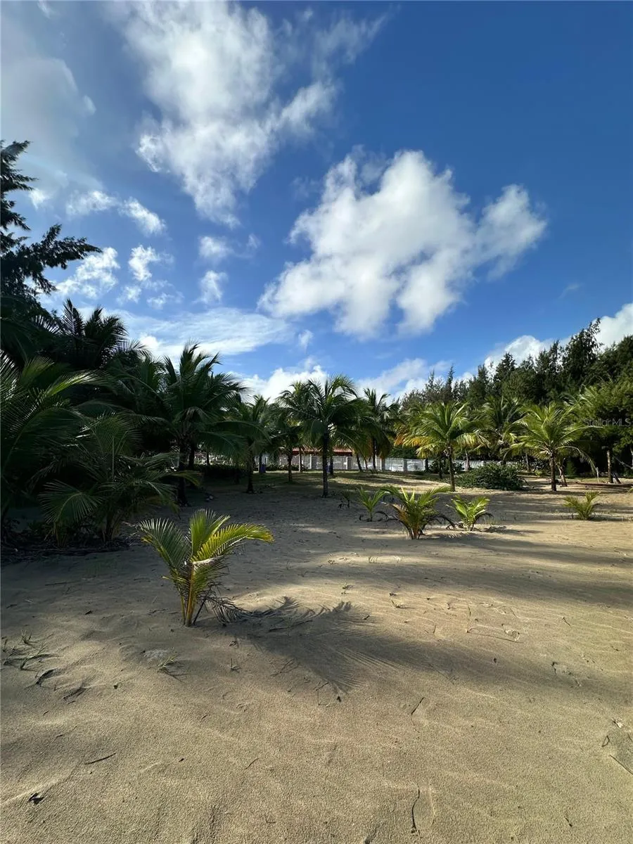 1502 OCEAN POINT #1 Loiza, PR 00772