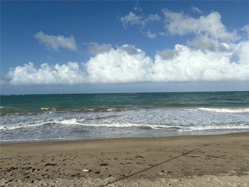 1502 OCEAN POINT #1 Loiza, PR 00772
