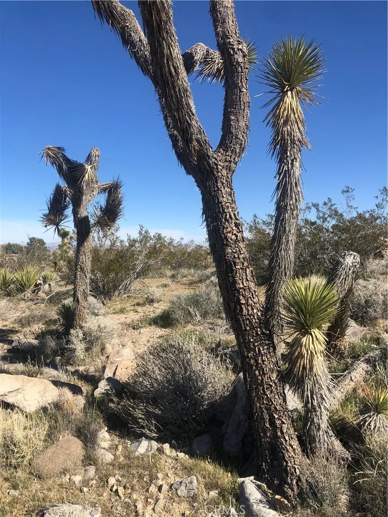 31875 Sapphire Road Lucerne Valley, CA 92356