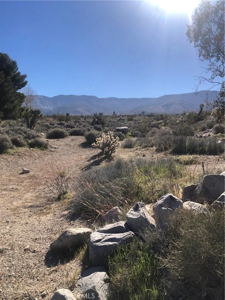 31875 Sapphire Road Lucerne Valley, CA 92356