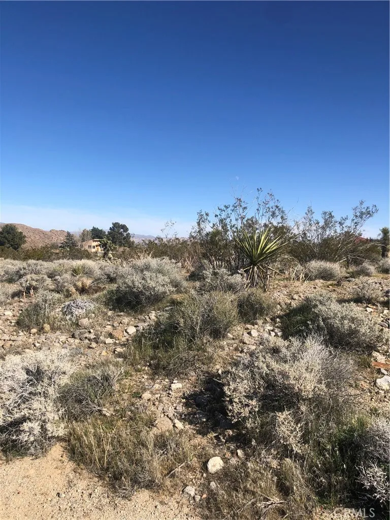 31875 Sapphire Road Lucerne Valley, CA 92356