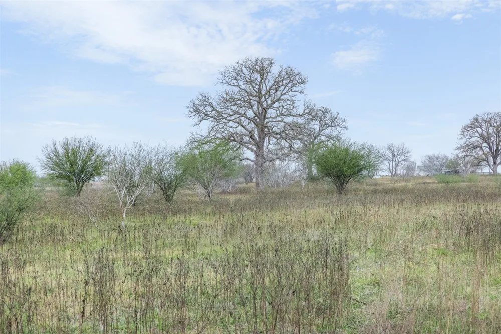 4025 County Road 284 Harwood, TX 78632