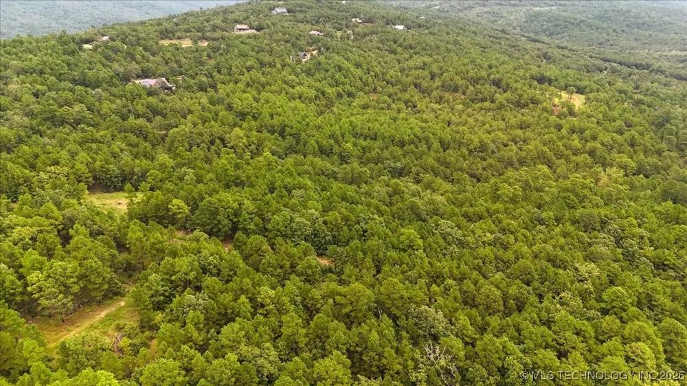 1025 Buffalo Valley, OK 74571