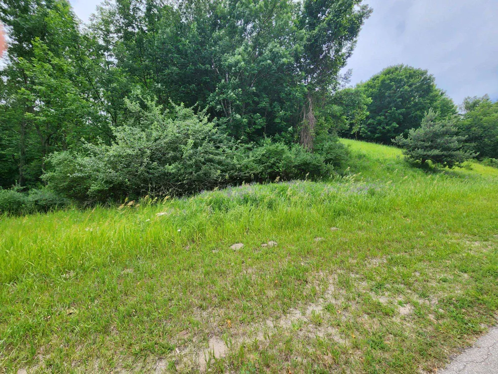 Deer Ridge Trail Lake Township, MI 49617
