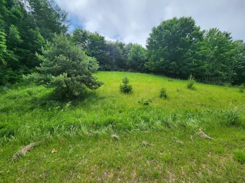 Deer Ridge Trail