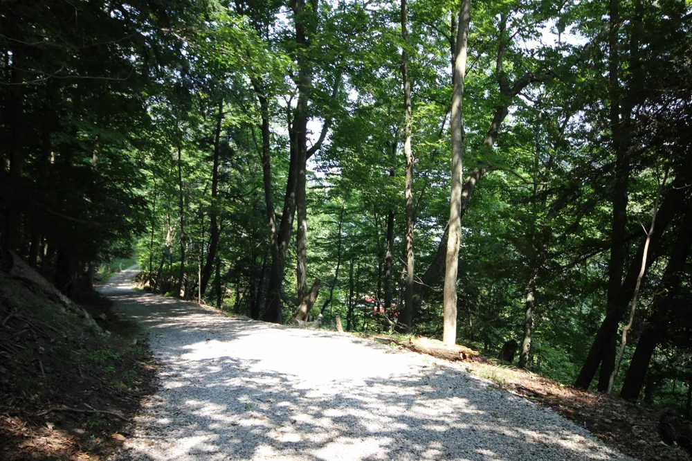 Deer Ridge Trail Lake Township, MI 49617