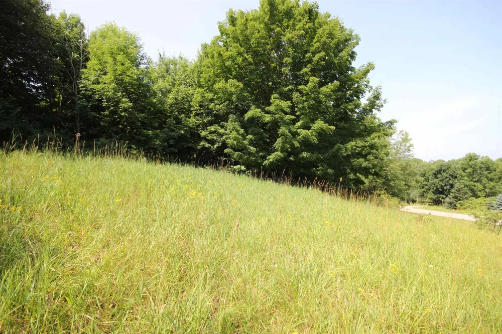 Deer Ridge Trail Lake Township, MI 49617