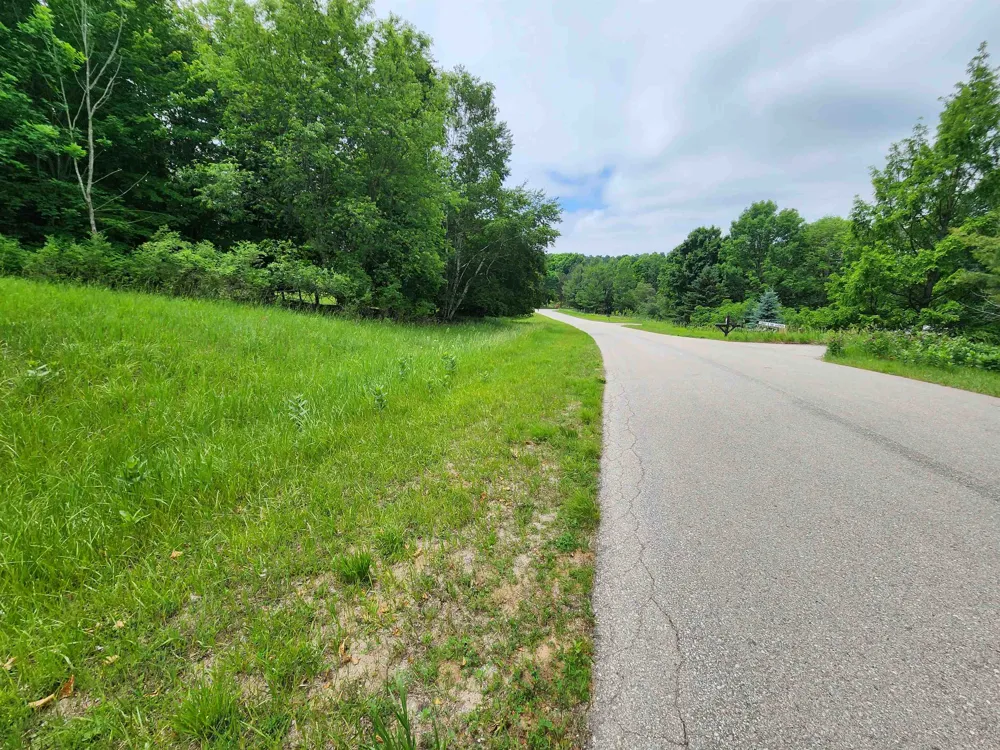 Deer Ridge Trail Lake Township, MI 49617